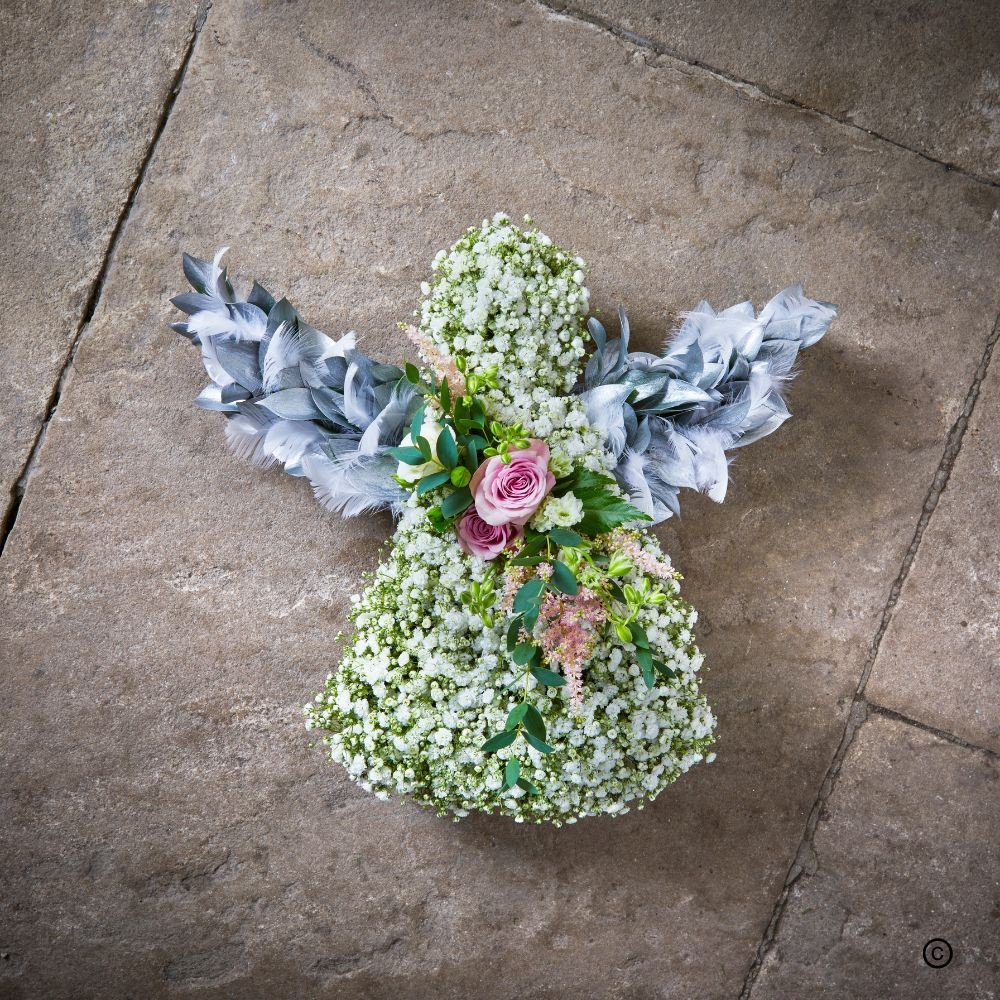 Angel Product Image