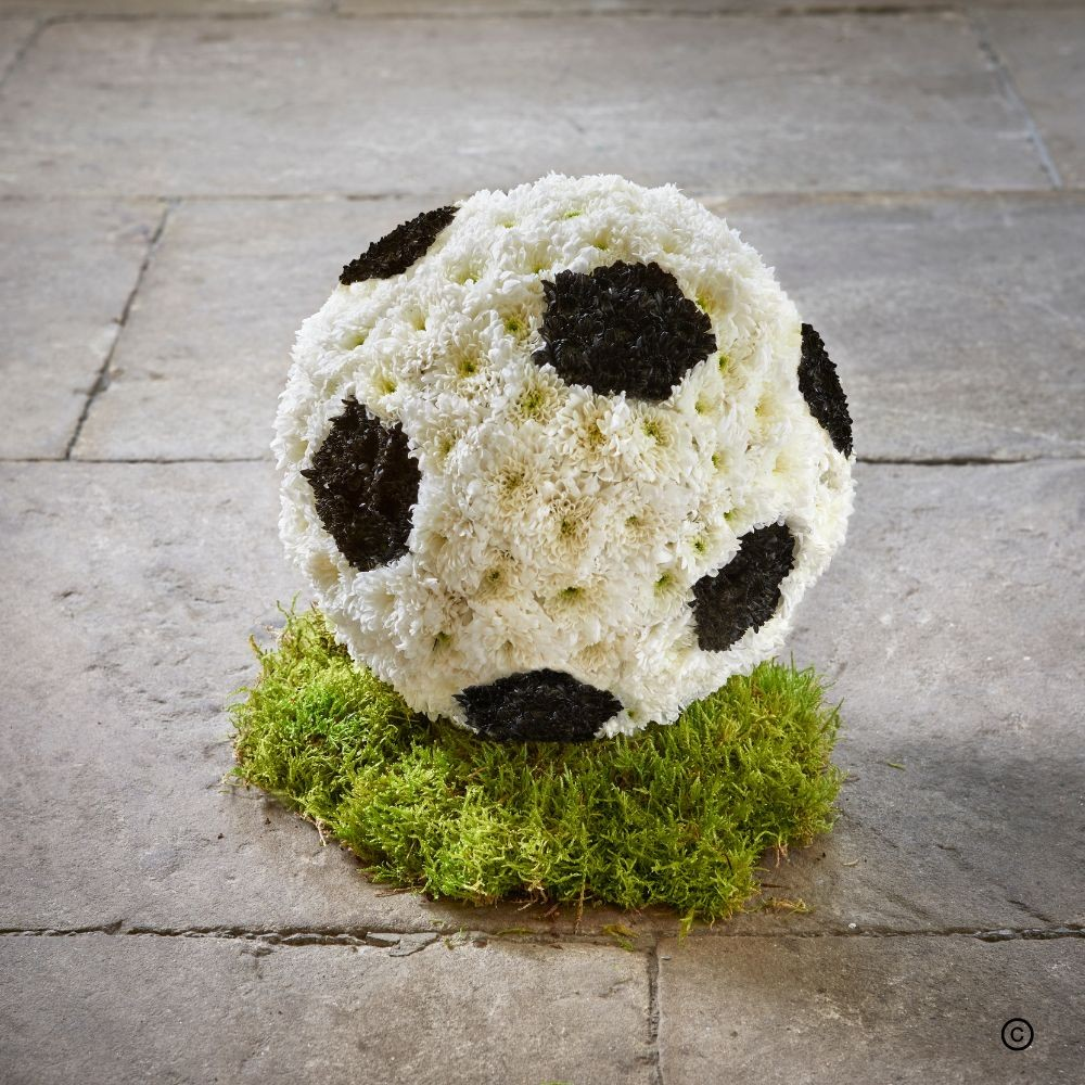 3d Football Product Image