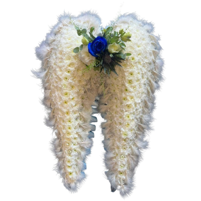 Angel Wings Tribute - A beautiful angel wings funeral tribute in classic white with delicate blue detailing, handcrafted by Daisy Chain Florist in Scunthorpe.