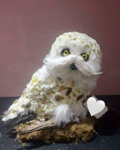 Owl Tribute - A beautifully detailed owl funeral tribute in soft white and natural tones, handcrafted by Daisy Chain Florist in Scunthorpe.