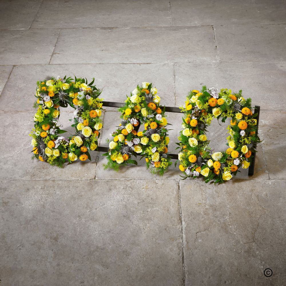 Dad Letters Product Image