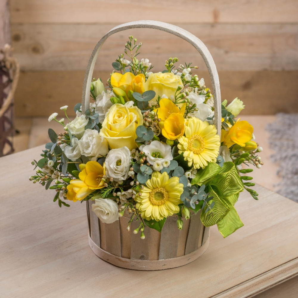 Ray of sunshine Product Image