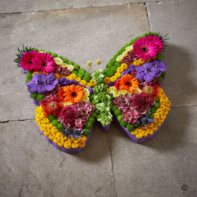 Viberant Butterfly Funeral Tribute - The butterfly signifies joy. A butterfly doesn't struggle against the wind; it lets its vibrant wings carry it forward with effort, grace, warmth, and brightness. While we feel the